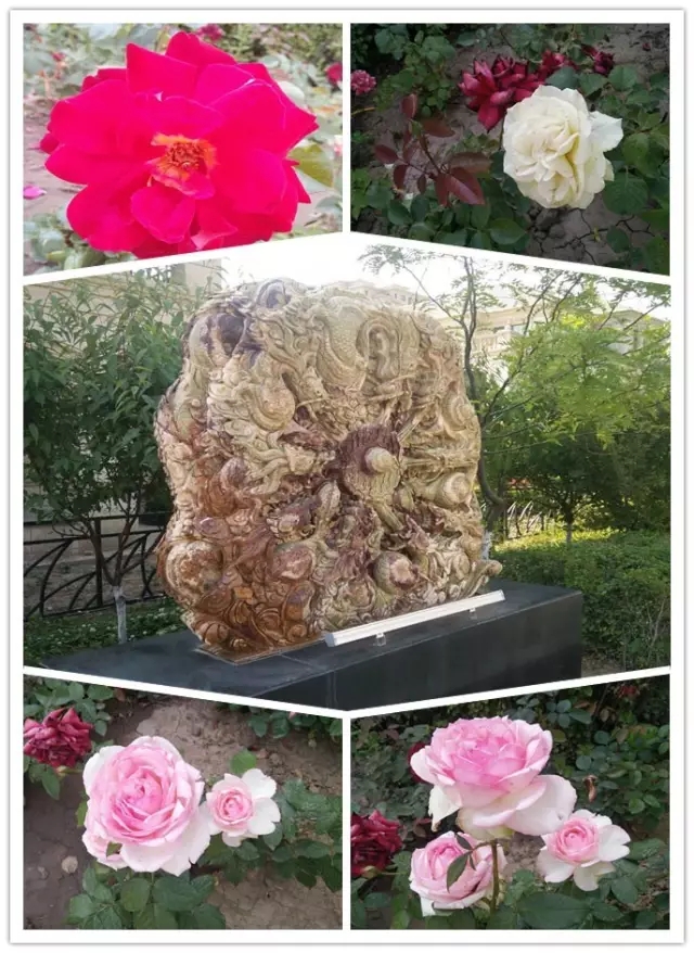 網(wǎng)勢(shì)科技6周歲生日快樂(lè)！